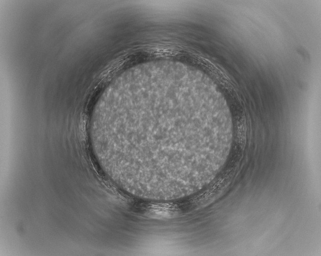 X0000115400757200912011205