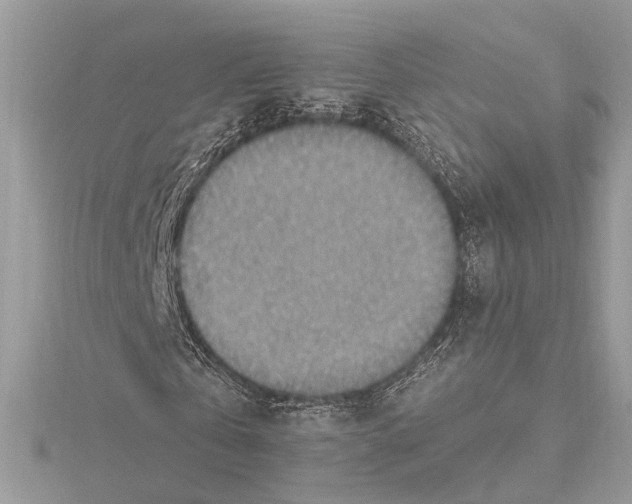 X0000115400769200912011204