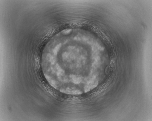 X0000115400772200912011204