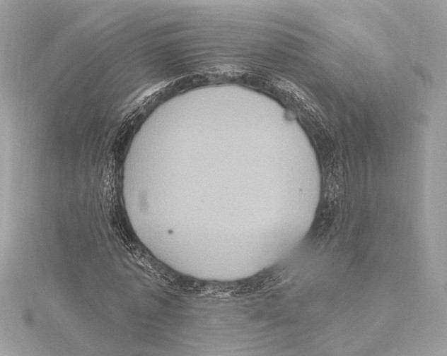 X0000115400773200912011204