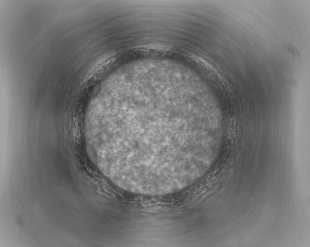 X0000115400774200912011204
