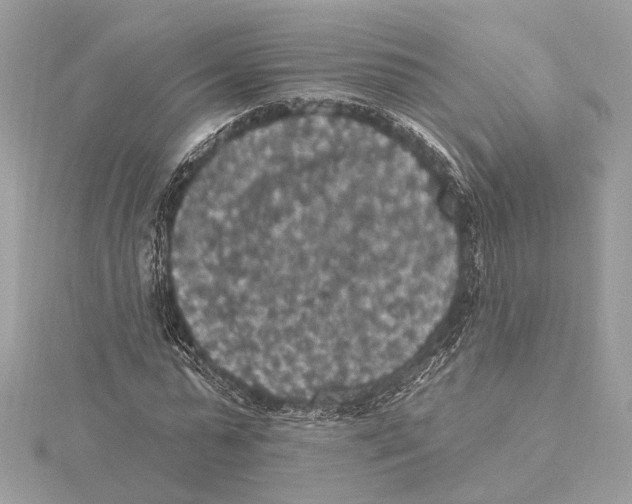 X0000115400775200912011204