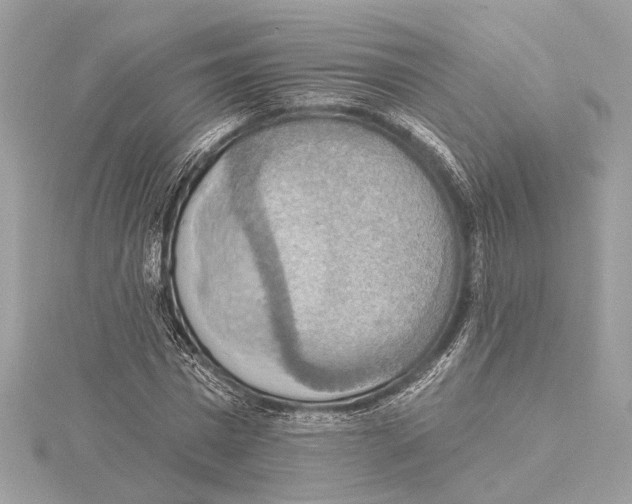 X0000115400777200912011204