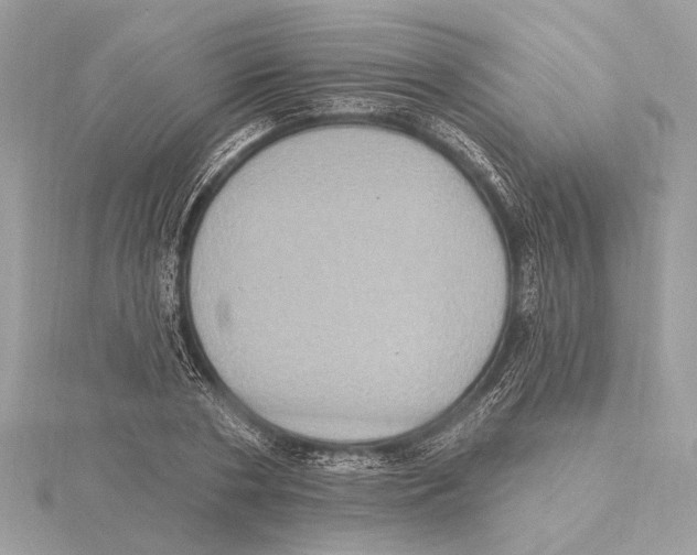 X0000115400786200912011204