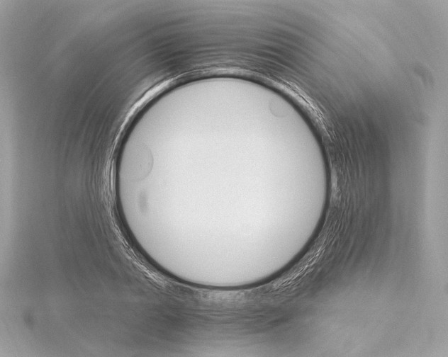 X0000115400790200912011204
