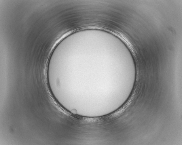X0000115400806200912011204