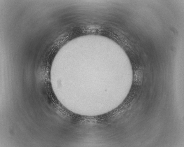 X0000115400820200912011203