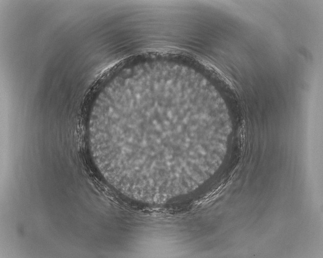 X0000115400822200912011203