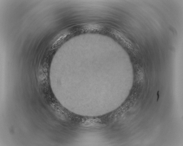 X0000115400824200912011203