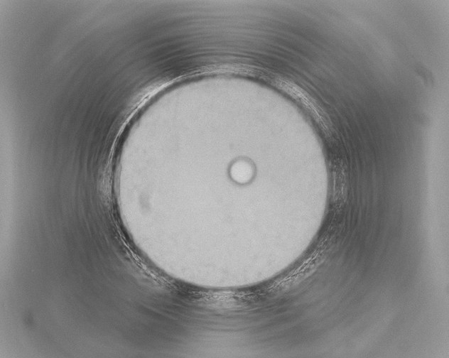 X0000115400828200912011203