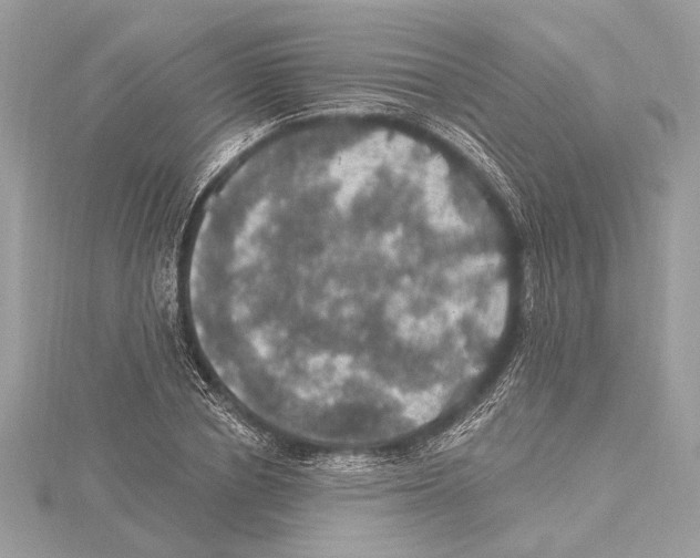 X0000115400834200912011203