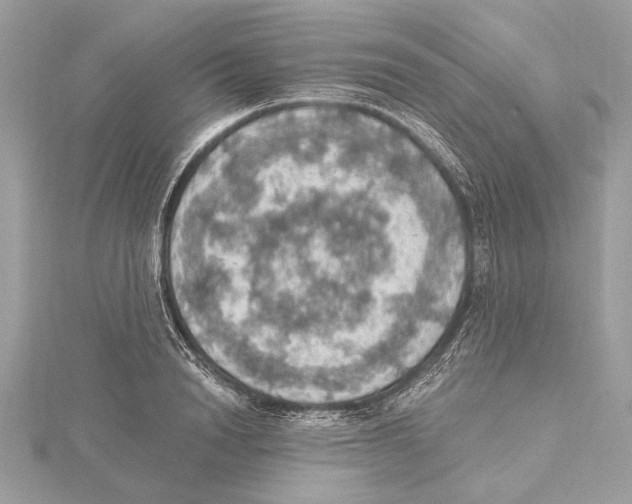 X0000115400846200912011203