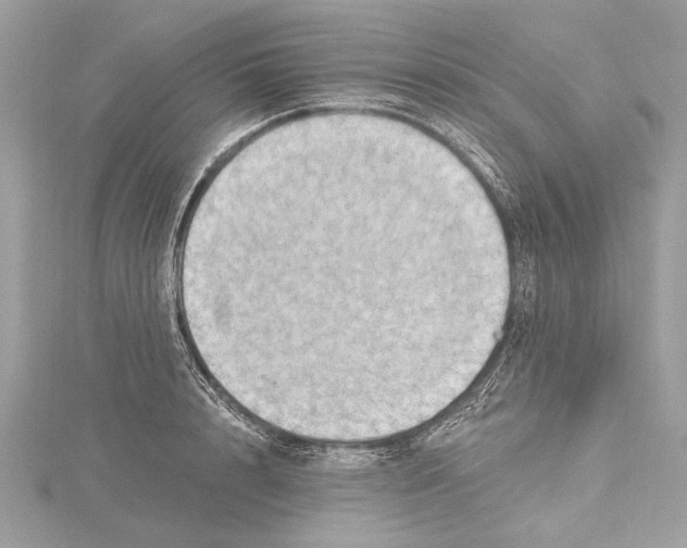 X0000115400848200912011203