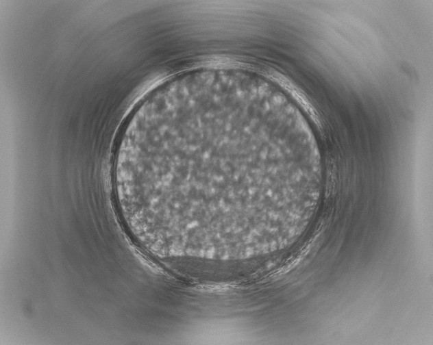 X0000115400853200912011203