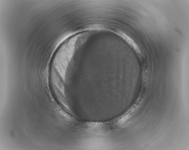 X0000115400854200912011203