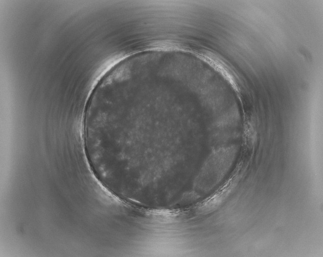 X0000115400855200912011203