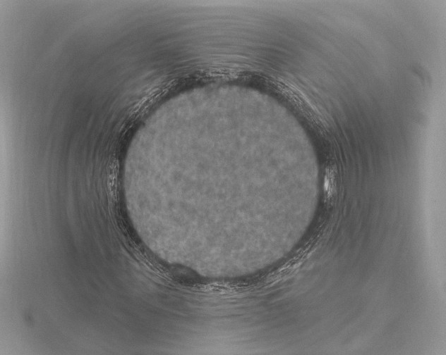 X0000115400867200912011203