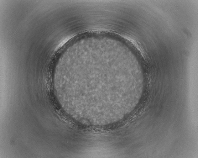 X0000115400871200912011203