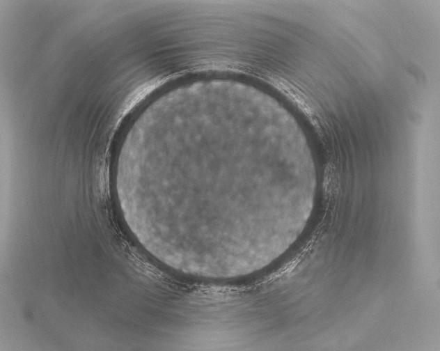 X0000115400877200912011203