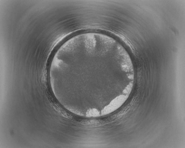 X0000115400879200912011203