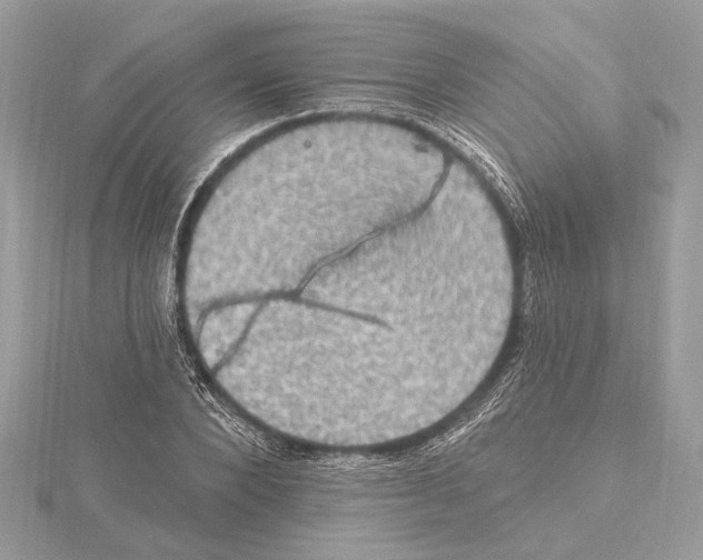 X0000115400880200912011203