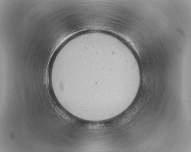 X0000115400887200912011203