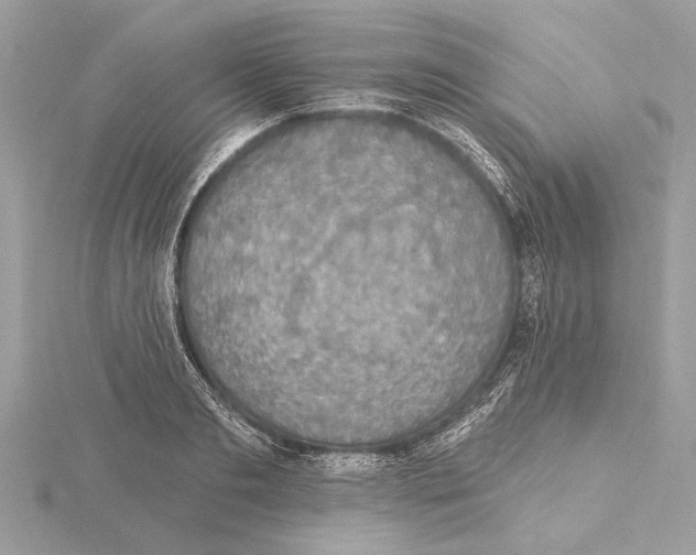 X0000115400893200912011203