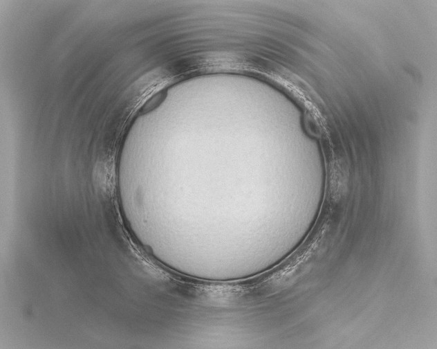 X0000115400897200912011203
