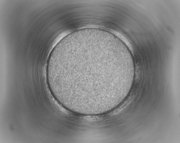 X0000115400906200912011202
