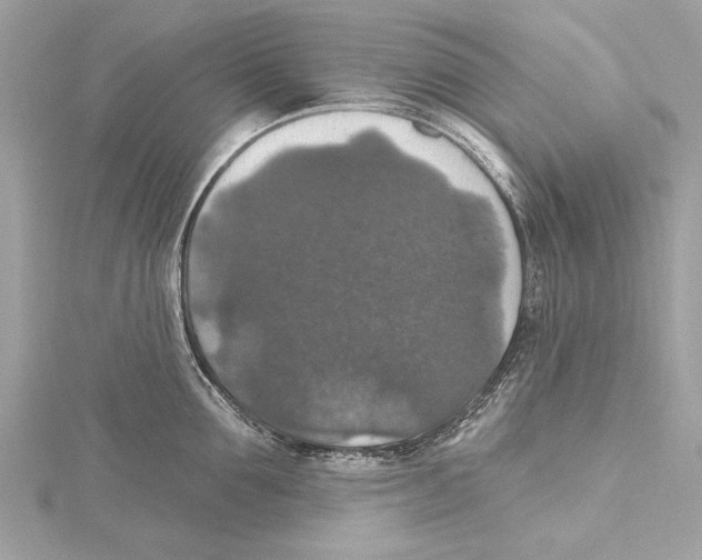 X0000115400907200912011202