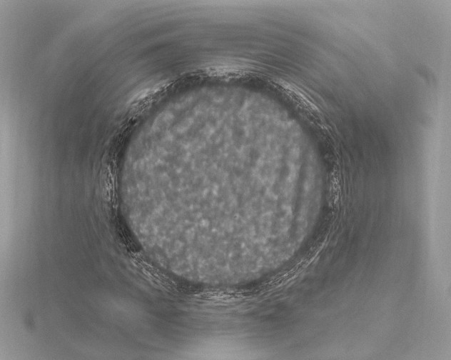 X0000115400917200912011202