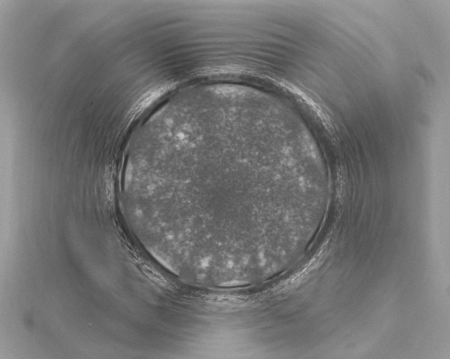 X0000115400921200912011202