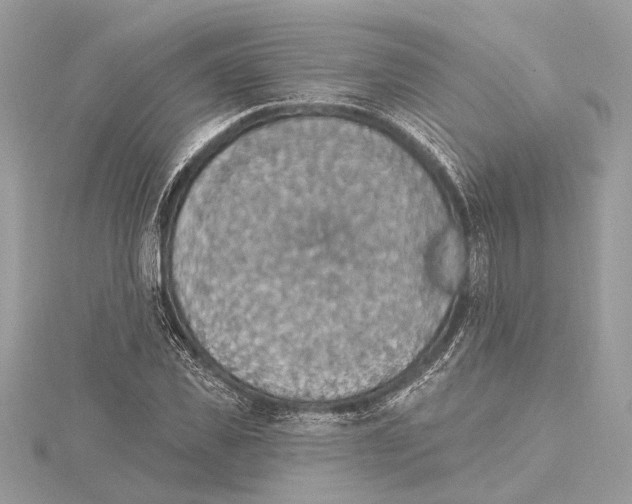 X0000115400925200912011202