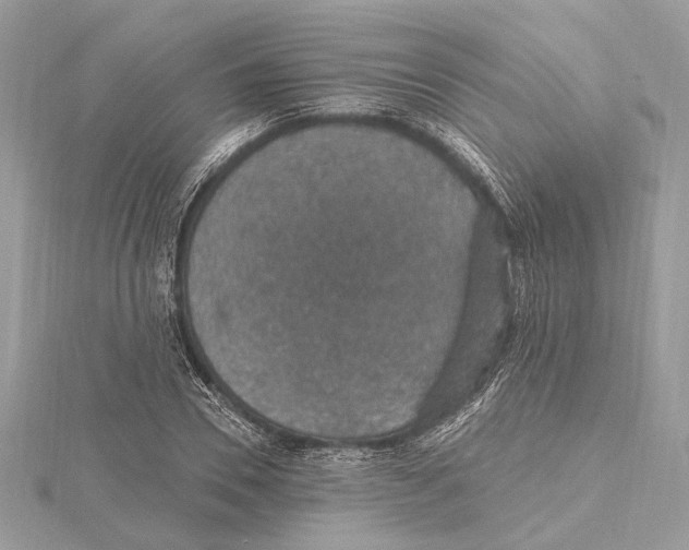 X0000115400930200912011202