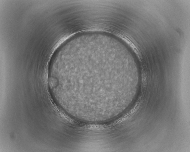 X0000115400933200912011202