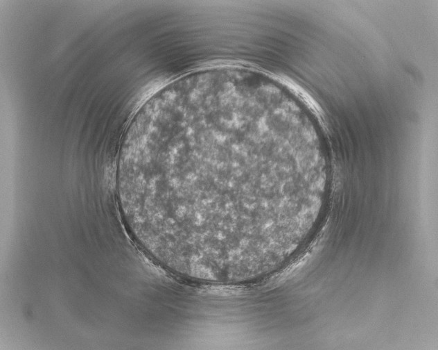 X0000115400953200912011202