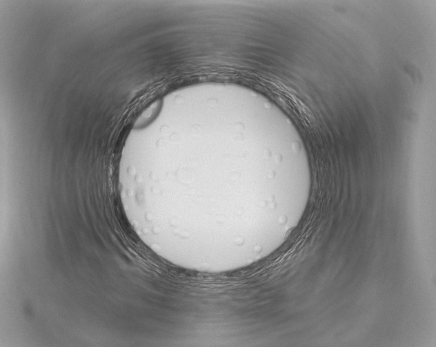 X0000115400964200912011201