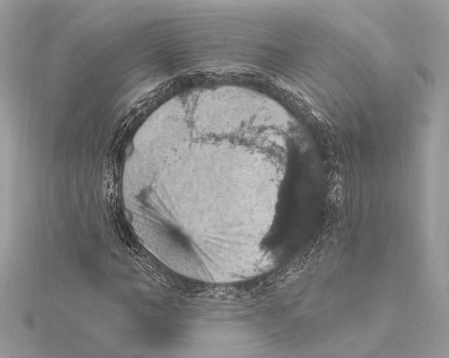 X0000115400966200912011201