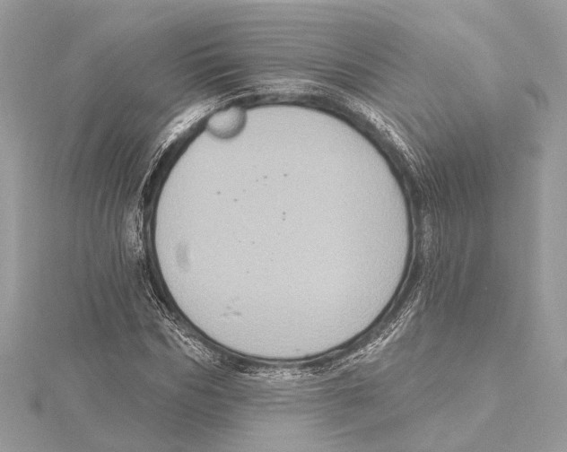 X0000115400970200912011201