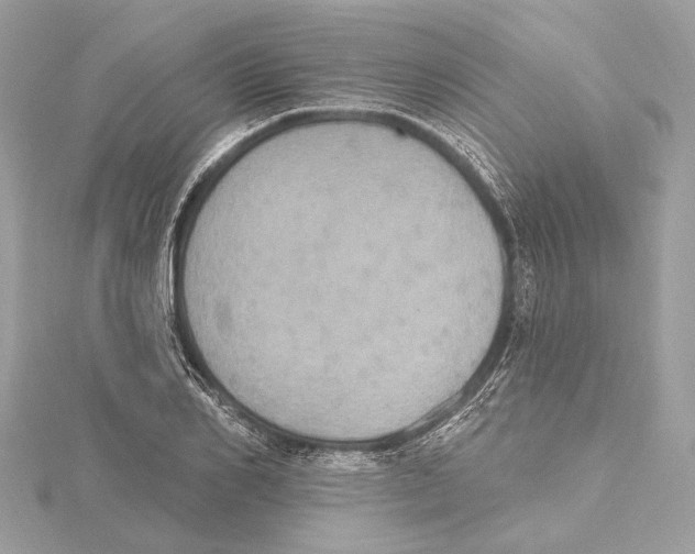 X0000115400982200912011201