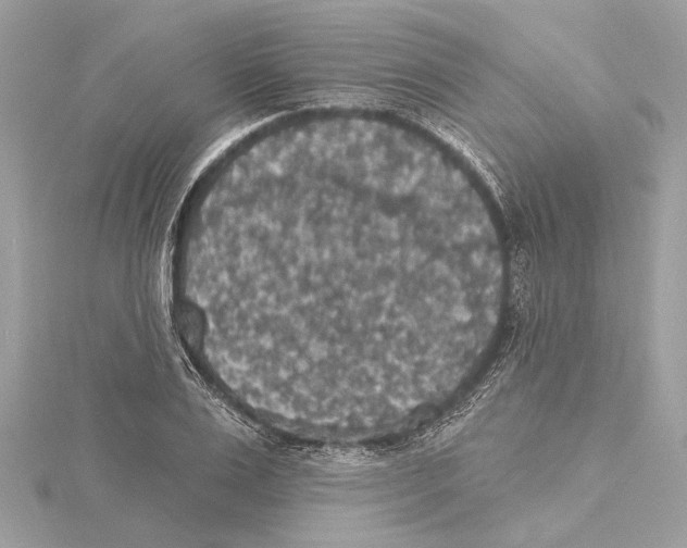 X0000115400983200912011201