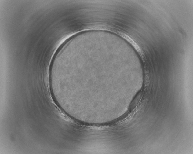 X0000115400996200912011201