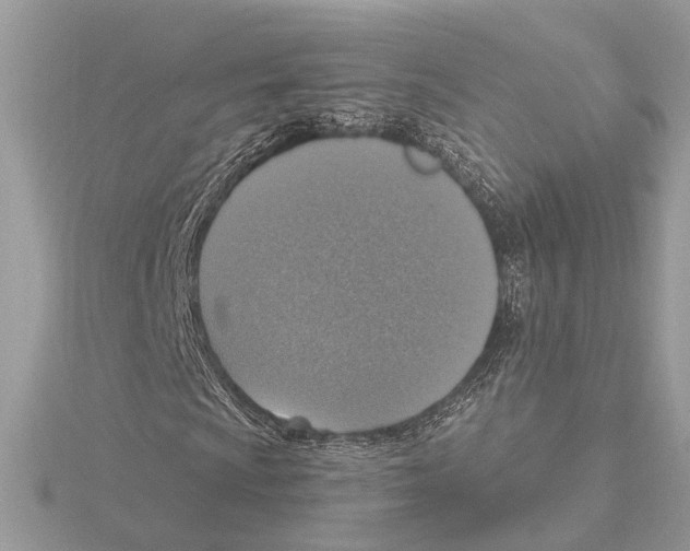 X0000115401009200912011200
