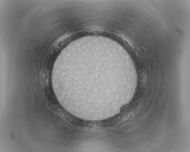 X0000115401016200912011200