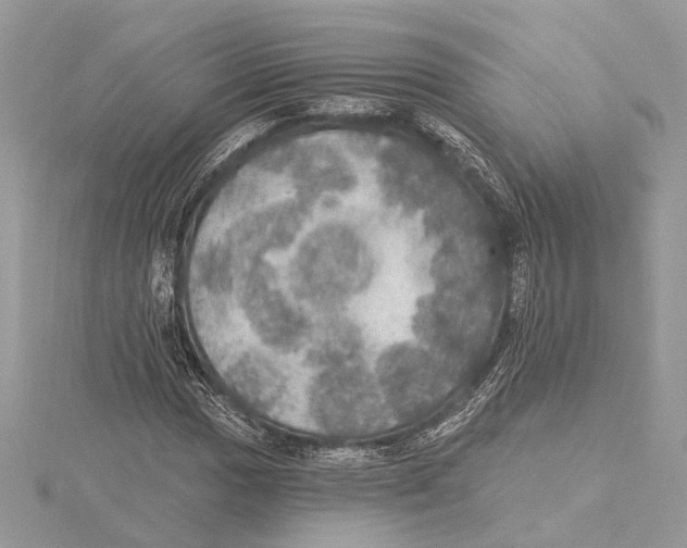 X0000115401017200912011200