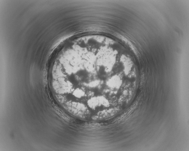 X0000115401019200912011200
