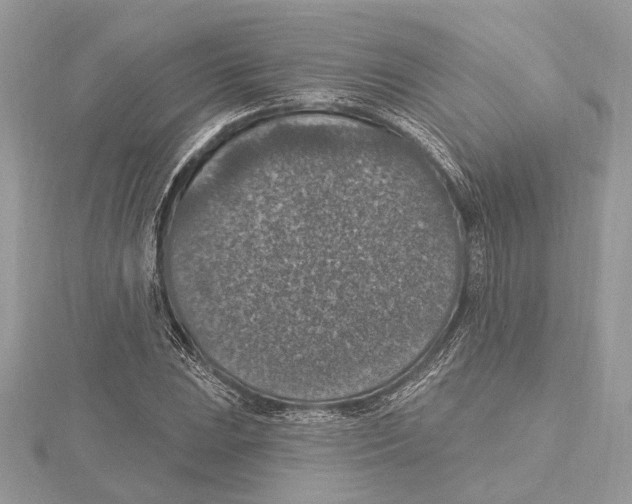 X0000115401023200912011200