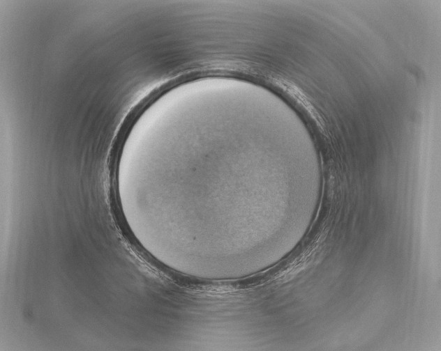 X0000115401024200912011200