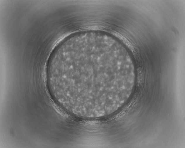 X0000115401031200912011200