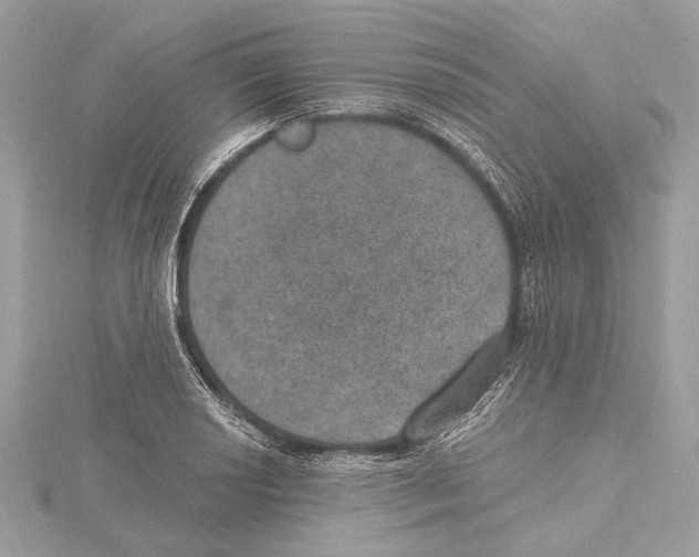 X0000115401034200912011200